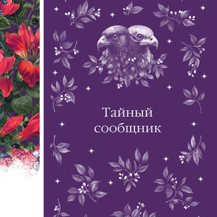 Набор: Элегантная мистика-2 (из 4-х книг: Тайное поклонение, Призрак Оперы, Франкенштейн, Тайный сообщник)