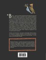 Ворон. Культурная история
