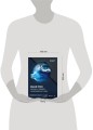 Blue Fox: взлом и реверс-инжиниринг ARM