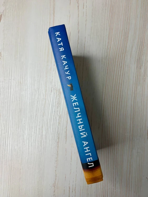 Комплект из 2-х книг Кати Качур: Любимчик Эпохи + Желчный Ангел