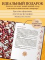 Всё о казане. Рецепты для настоящих гурманов. Подарочное издание