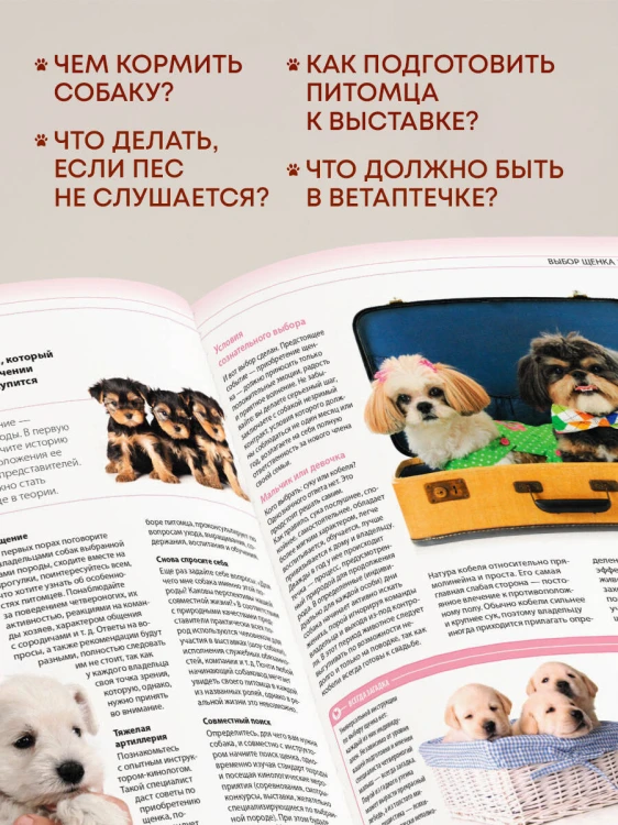 Собаки. Подарочная иллюстрированная энциклопедия (новое оформление)