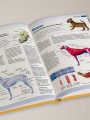 Собаки. Подарочная иллюстрированная энциклопедия (новое оформление)