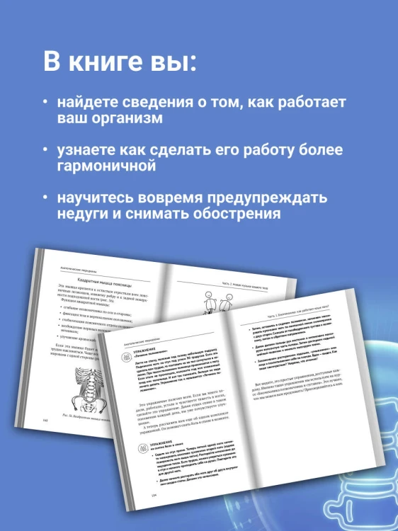 Анатомические меридианы. Почему лечить нужно печень, если болят плечи, как избавиться от боли в суставах и позвоночнике за несколько минут и найти ее истинную причину