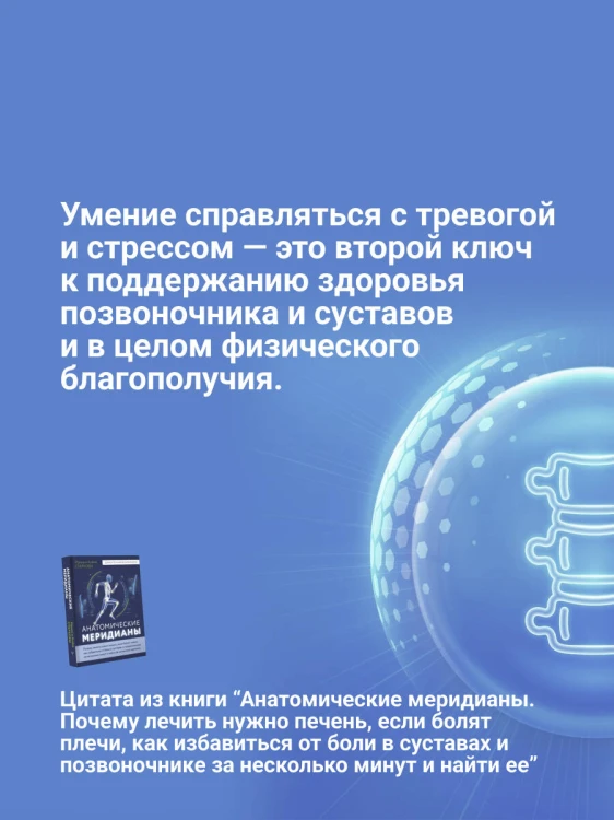Анатомические меридианы. Почему лечить нужно печень, если болят плечи, как избавиться от боли в суставах и позвоночнике за несколько минут и найти ее истинную причину