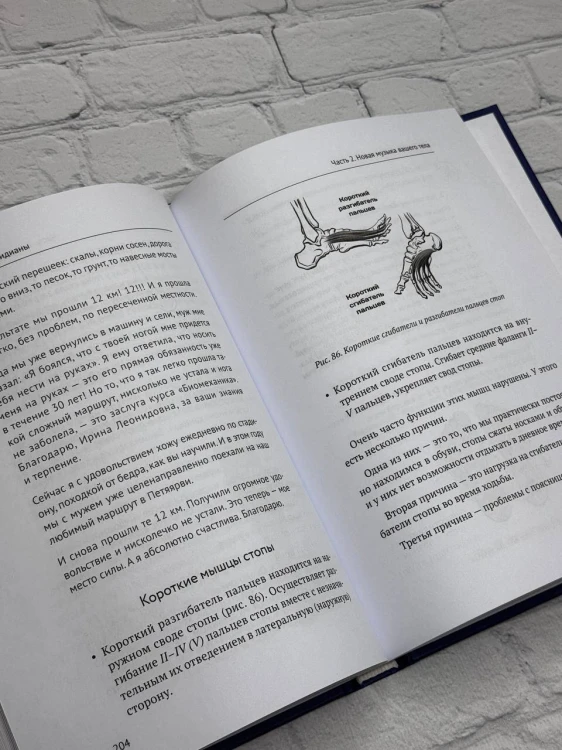 Анатомические меридианы. Почему лечить нужно печень, если болят плечи, как избавиться от боли в суставах и позвоночнике за несколько минут и найти ее истинную причину