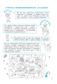 Математические головоломки