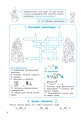 Орфографические головоломки