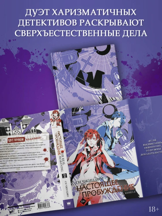 Настоящее пробуждение. Real Awakening. Книга 2