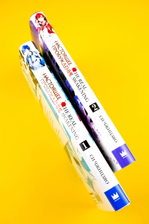 Настоящее пробуждение. Real Awakening. Книга 2