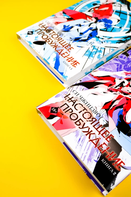 Настоящее пробуждение. Real Awakening. Книга 2