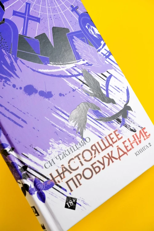 Настоящее пробуждение. Real Awakening. Книга 2