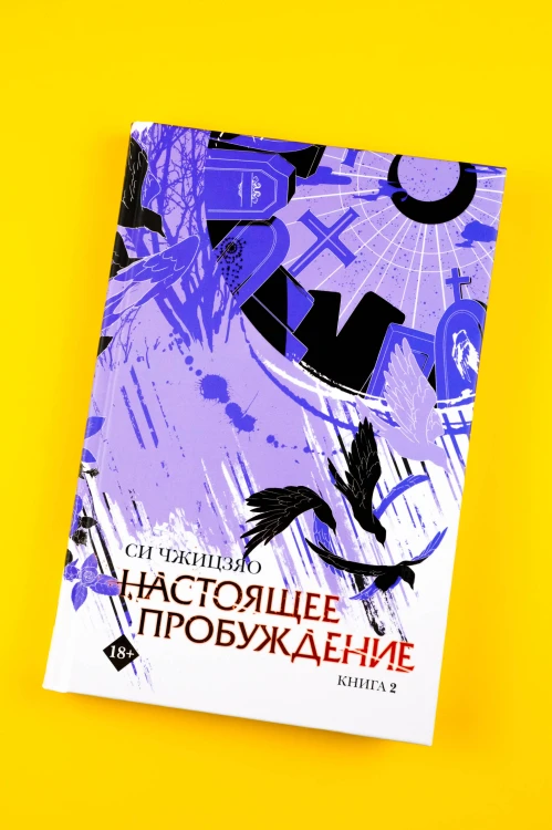 Настоящее пробуждение. Real Awakening. Книга 2