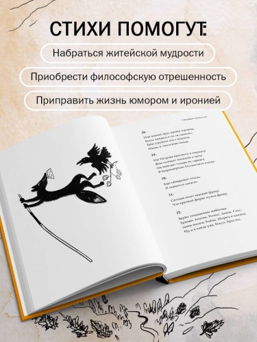 Смешные нелепости
