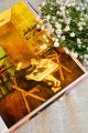 История любви. Уютные иллюстрации Puuung. Книга 1