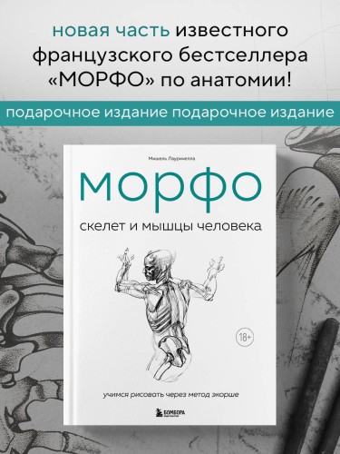 МОРФО. Скелет и мышцы человека. Анатомия для художников