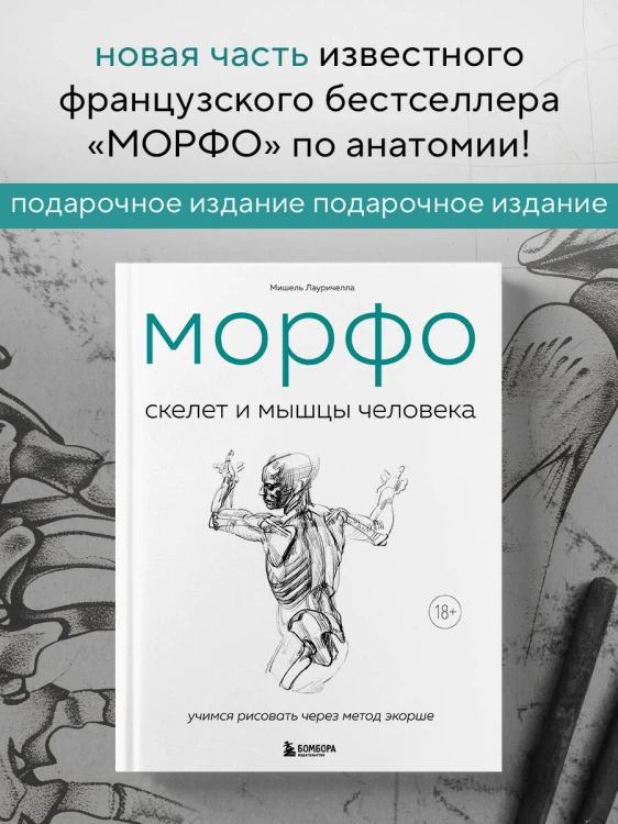 МОРФО. Скелет и мышцы человека. Анатомия для художников
