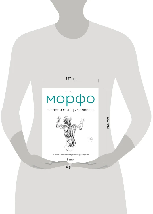 МОРФО. Скелет и мышцы человека. Анатомия для художников
