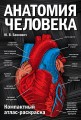 Анатомия человека: компактный атлас-раскраска