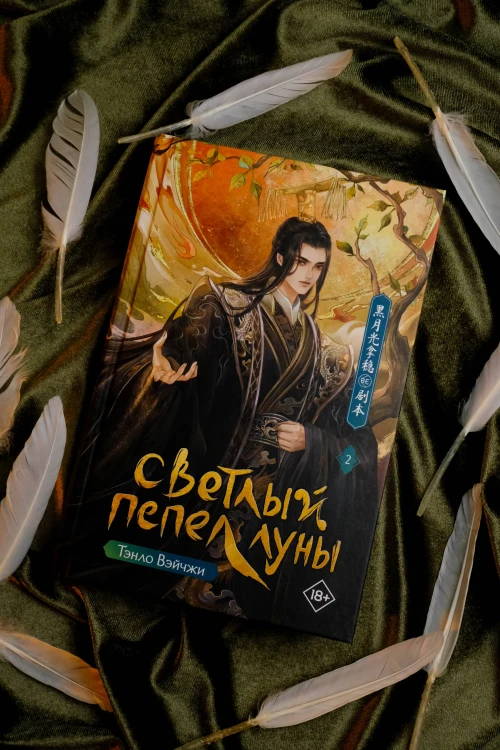 Светлый пепел луны. Книга 2