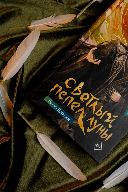 Светлый пепел луны. Книга 2