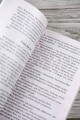 Как закалялась сталь
