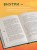 Комплект из книги Система финансового оздоровления и ежедневника (ИК)