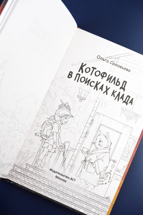 Котофильд в поисках клада