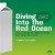 Diving Into the Red Ocean: How to Break the Rules of Retail and Come Out on Top