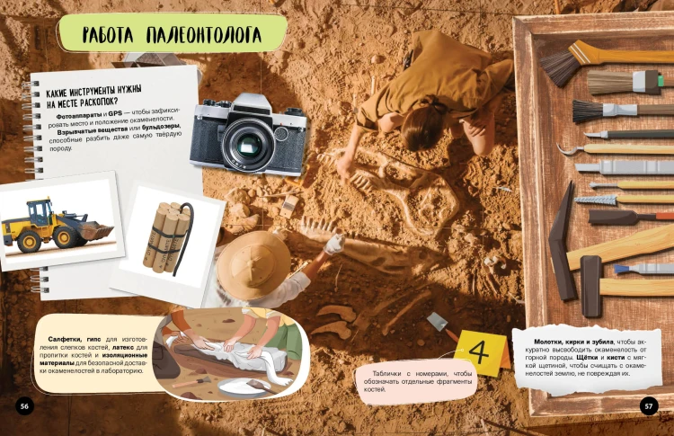 Что? Как? Почему? Мои первые знания про ДИНОЗАВРОВ (с постером)