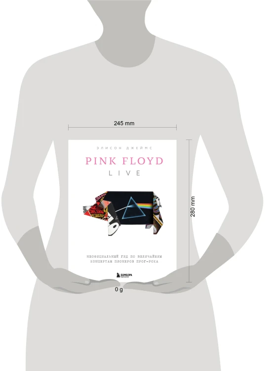 Pink Floyd Live: Неофициальный гид по величайшим концертам пионеров прог-рока