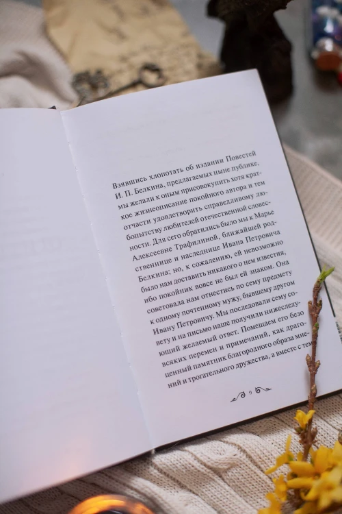 Повести Белкина. Вечные истории. Young Adult