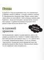 Небожители и чудовища мифического Китая. Сыновья Дракона, герои и злодеи великих гор и морей