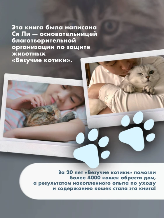 Твой котик: магия ухода. Все о том, как всегда понимать кошку и завести крепкую дружбу на всю жизнь.