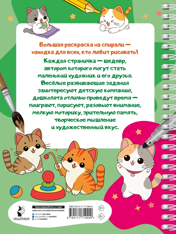 100 милых котиков. Большая раскраска
