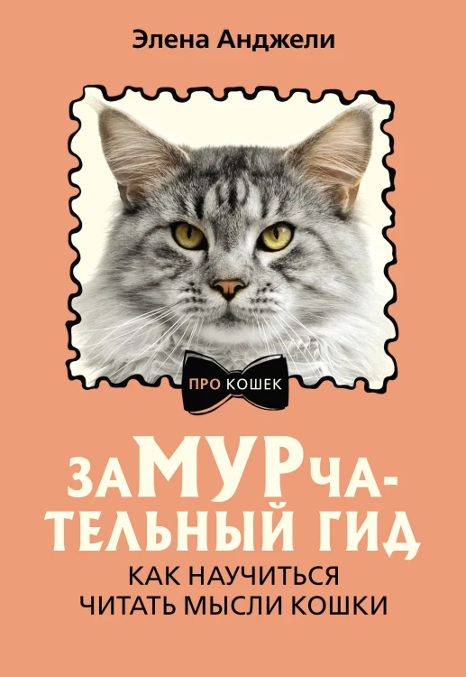 ЗаМУРчательный гид. Как научиться читать мысли кошки