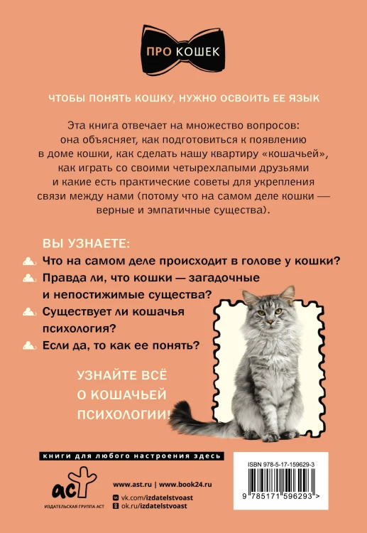 ЗаМУРчательный гид. Как научиться читать мысли кошки