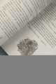 Присяга фортуны