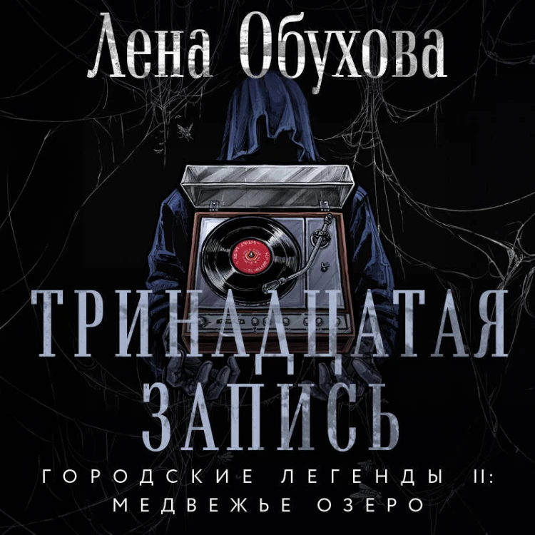 Тринадцатая запись