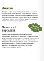 EQ-воспитание. Системный подход к воспитанию личности