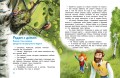 Птицы. Детская энциклопедия (Чевостик)