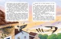 Птицы. Детская энциклопедия (Чевостик)