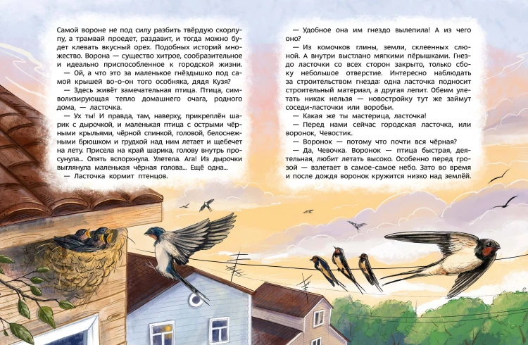 Птицы. Детская энциклопедия (Чевостик)