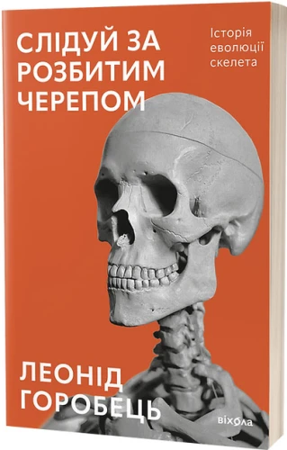 7.webp