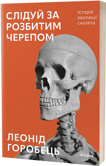 7.webp