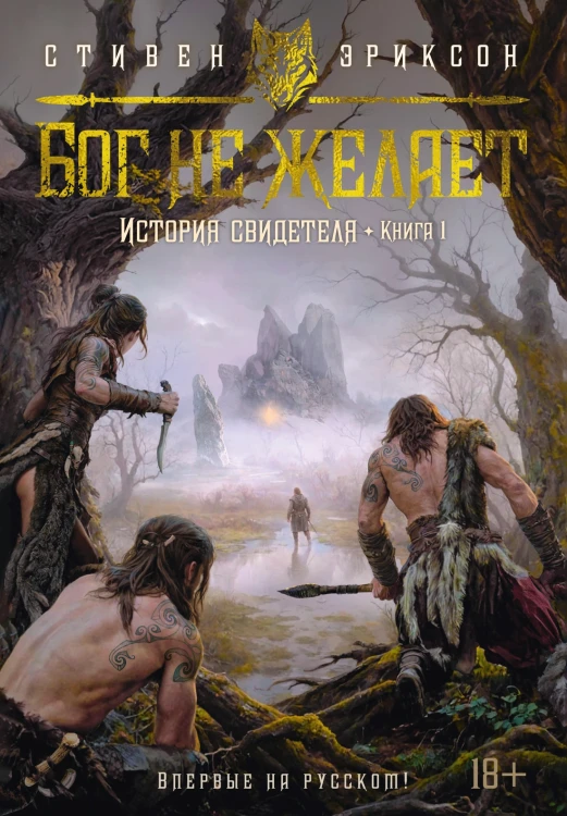 История свидетеля. Книга 1. Бог не желает.jpg