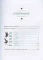 Книга-оракул зеленой ведьмыКнига-оракул зеленой ведьмы5.webp