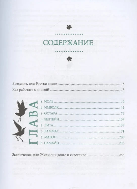 Книга-оракул зеленой ведьмыКнига-оракул зеленой ведьмы5.webp