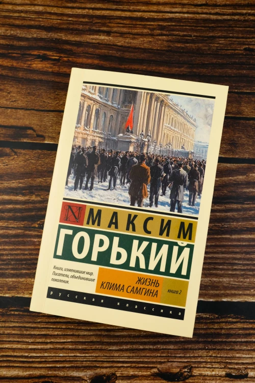 Жизнь Клима Самгина. В 2 кн. Книга 2