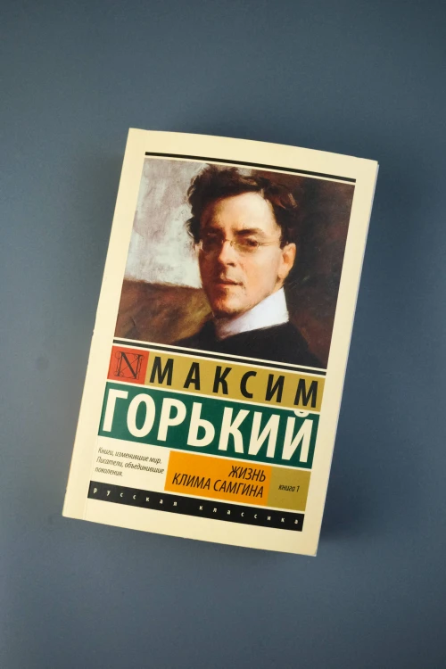 Жизнь Клима Самгина. В 2 кн. Книга 1